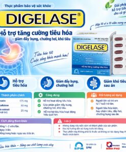 digelase t/54h/100v