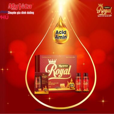 Myvita Royal – Hồi phục sức khỏe nhanh, tăng sự tỉnh táo