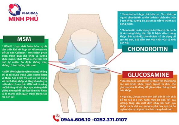 Thành phần - công dụng - Cách dùng của sản phẩm